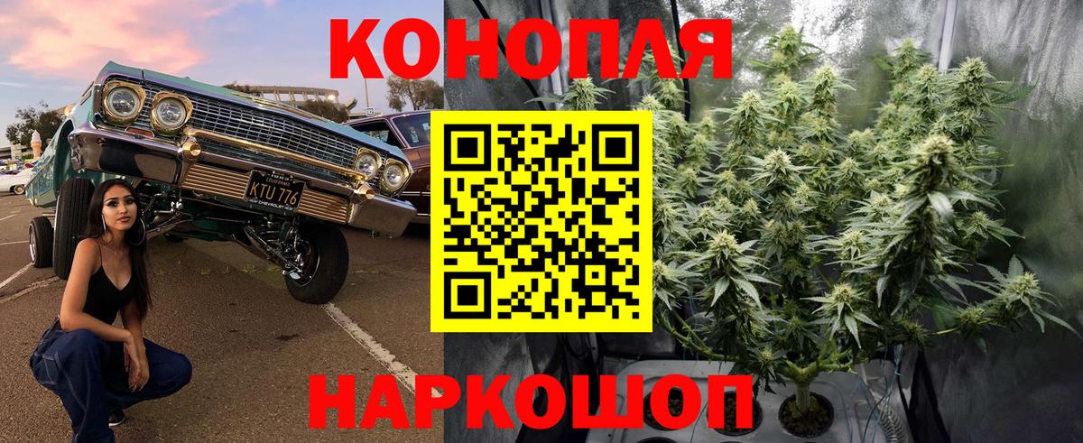 Марихуана планчик  Марихуана Amnesia  Вход с VPN  Энгельс  МАРИХУАНА план 